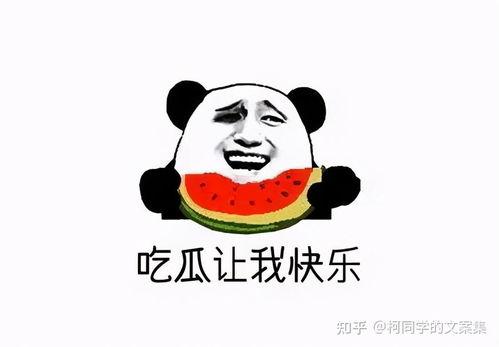 黑料吃瓜网apk普通安装  第3张