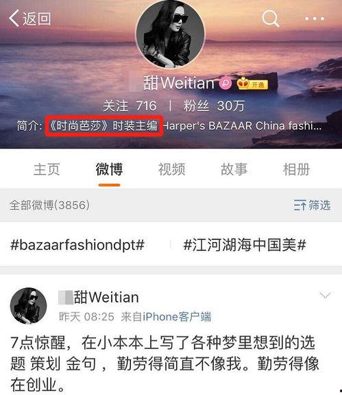 甜瓜新乐场  第2张