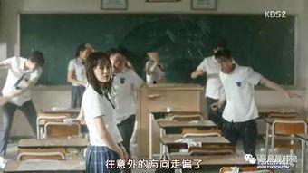 一全家社  第2张