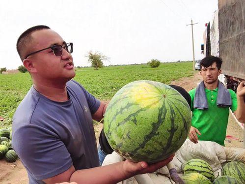 黑料吃瓜网apk普通安装  第3张