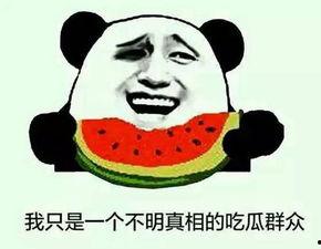 迷你吃鸡射击 