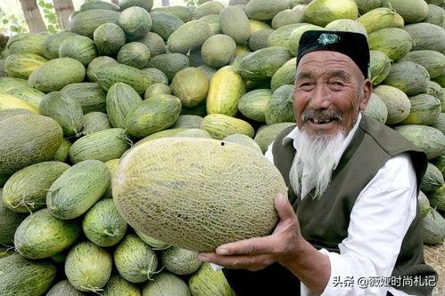 哈密瓜影视  第3张