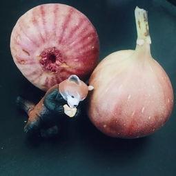 迷你吃鸡射击  第3张