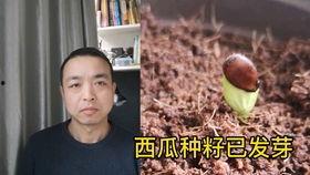 黑料吃瓜网apk普通安装  第2张