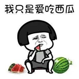 迷你吃鸡射击 